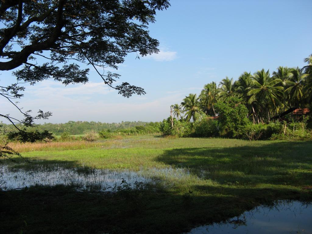 Villa Sunrise Tangalle Kültér fotó